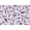 Robert Kaufman How The Grinch Stole Christmas Collection ADED-21778-223 Printed Cotton Craft Fabric in Holiday 