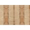 Scalamandre Damasco Imberline Decorator Fabric in Gold/Beige