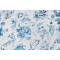 PK Lifestyles Travel Diary Printed Cotton Blend Drapery Fabric in Delft 