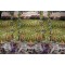 Dona Gelsinger Fabrics Of SoHo Wine Country - Beautiful Vineyard Sunset 24'' Panel Printed Cotton Craft Fabric in Black for Timeless Treasures 