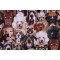 Michael Searle Fabrics of SoHo Howl You Doin? - Packed Dogs Portrait Printed Cotton Craft Fabric in Natural for Timeless Treasures 