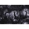 Fabrics of SoHo Wicked - Creeped Dead Trees Printed Cotton Craft Fabric in Spooky for Timeless Treasures 