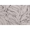 Burch Fabrics Meander Woven Outdoor Fabric in Birch