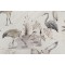 Hamilton Aviary Printed Cotton Drapery Fabric in Natural 