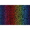 Chong-A Hwang Fabrics of SoHo Wildcat - Animal Skin Rainbow Printed Cotton Craft Fabric in Multi for Timeless Treasures 