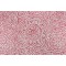 Scalamandre Alan Printed Drapery Fabric in Coral