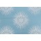 Thibaut Bahia W80778 Woven Solution Dyed Acrylic Outdoor Fabric in Spa Blue
