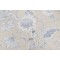 Thibaut Rittenhouse F94146 Printed Cotton Blend Drapery Fabric in Blue and Tan