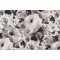 Richloom Elora Printed Cotton Drapery Fabric in Newsprint
