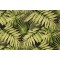 Tropica Printed Polyester Outdoor Fabric in Ebony