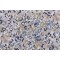 Magnolia Home Teddington Printed Cotton Drapery Fabric in Denim 