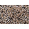 Magnolia Home Teddington Printed Cotton Drapery Fabric in Chestnut 