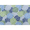 Premier Prints Livi Printed Polyester Outdoor Fabric in Courtyard