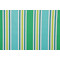 Aruba Stripe Printed Polyester Outdoor Fabric in Turquoise/Green