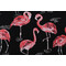 Terrasol-Flamingo Printed Outdoor Fabric in Black