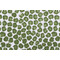 Premier Prints Freedom-Slub Linen White Printed Drapery Fabric in Kale