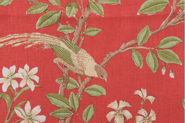 Thibaut Neuman F94706 Printed Drapery Fabric in Pink