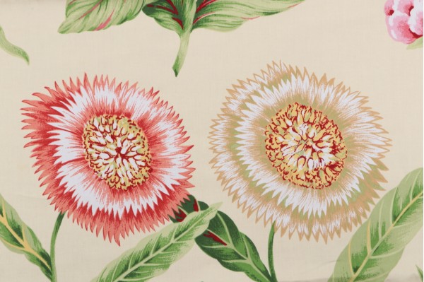 Thibaut Edgartown Printed Cotton Drapery Fabric in Cream F94712