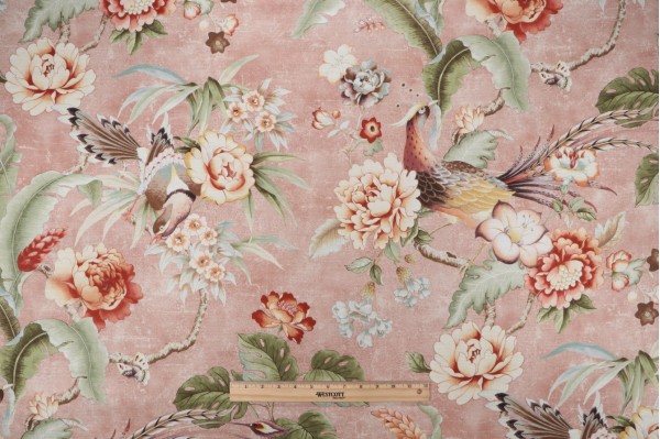 Sample of P Kaufmann Passerine Pavillion Printed Cotton Drapery Fabric in Blush 