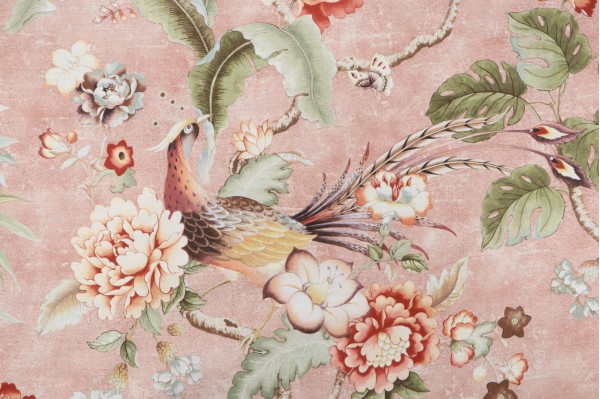 Sample of P Kaufmann Passerine Pavillion Printed Cotton Drapery Fabric in Blush 