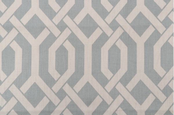 Trinity Printed Cotton Drapery Fabric in Mist