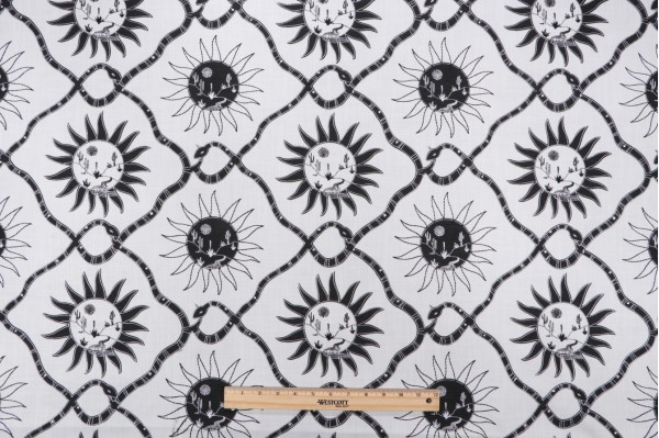 Elana Gabrielle Sol Embroidered Drapery Fabric in Coal