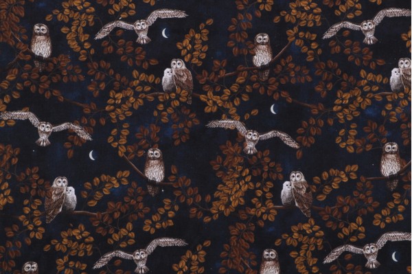 Sample of Rosie Dore Mad Scientist - Night Owl Printed Cotton Craft Fabric in Blue for Timeless Treasures 