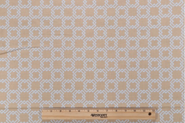 Bernard Thorp Oski on Corn Linen Printed Drapery Fabric in Cornflower for Scalamandre