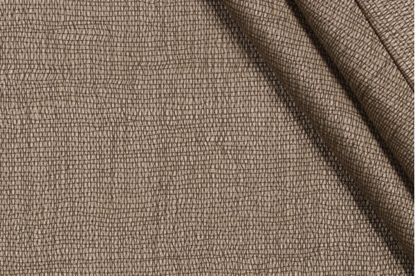 Robert Allan Agamidae Printed Drapery Fabric in Fern