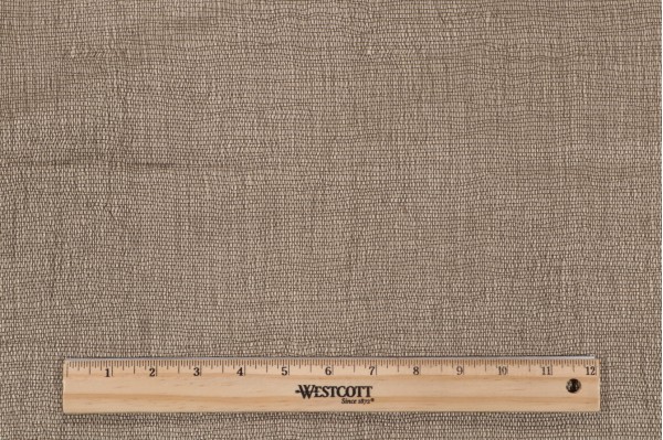 Robert Allan Agamidae Printed Drapery Fabric in Fern