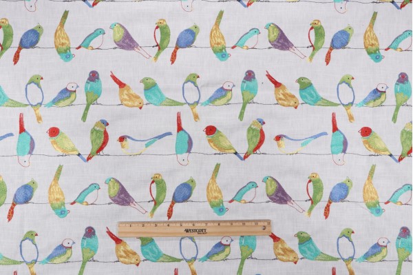 TFA Flying Colors Embroidered Drapery Fabric in Jubilee 