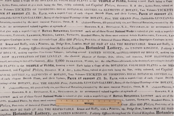 Sample of Vilber Papiro-11 Printed Drapery Fabric 