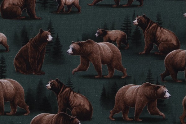 Click for Timeless Treasures Bears With Evergreen Printed Cotton Craft Fabric in Green  Timeless Treasures Bears With Evergreen Printed Cotton Craft Fabric in Green