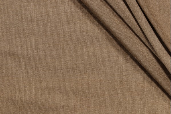 Robert Allen Tramore Silk Decorator Fabric in Reed