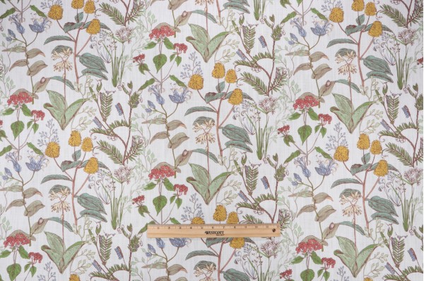 Lacefield Botanical Sketch Small Scale Printed Cotton Drapery Fabric in Multi 