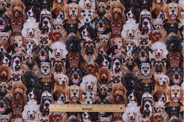 Sample of Michael Searle Happiness Has Paws - Packed Dogs Portrait Digitally-Printed Cotton Craft Fabric in Natural for Timeless Treasures 