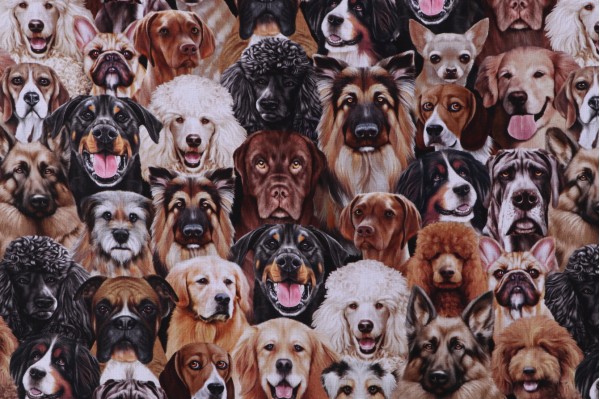 Sample of Michael Searle Happiness Has Paws - Packed Dogs Portrait Digitally-Printed Cotton Craft Fabric in Natural for Timeless Treasures 