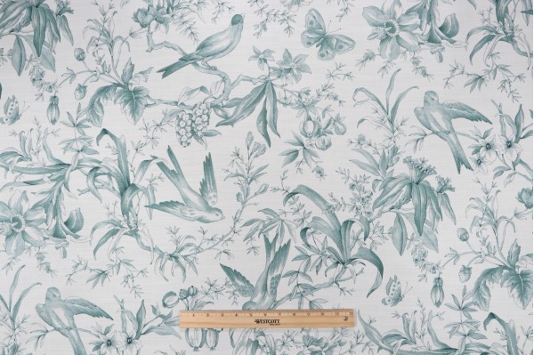P Kaufmann Audubon Toile Printed Cotton Drapery Fabric in Seafoam 