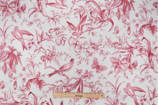 P Kaufmann Audubon Toile Printed Cotton Drapery Fabric in Ruby 