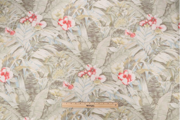 Tommy Bahama Barrier Reef Printed Cotton Drapery Fabric in Reed 