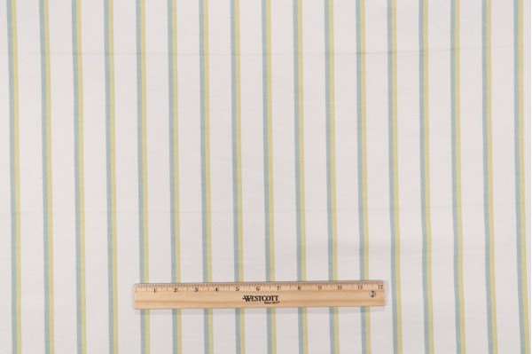 Winlock Stripe Woven Upholstery Fabric in Spring 