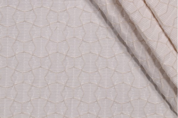 Sydney Embroidered Decorator Fabric in Beige