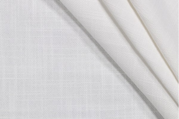 Tapia Woven Decorator Fabric in White