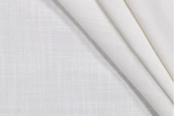 Tapia Woven Decorator Fabric in White
