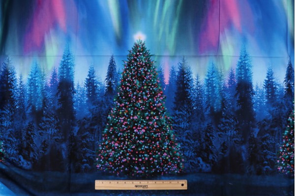 Fabrics Of SoHo Winter Light - Christmas Tree Aurora Borealis 24'' Panel Printed Cotton Craft Fabric in Night for Timeless Treasures 