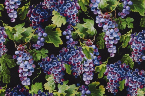 Dona Gelsinger Fabrics Of SoHo Wine Country - Grape Vines Printed Cotton Craft Fabric in Black for Timeless Treasures 