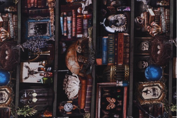 Sample of Fabrics of SoHo Mad Scientist - Witch Apothecary Book Shelf Printed Cotton Craft Fabric in Brown for Timeless Treasures 