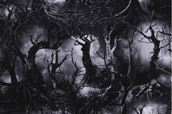 Click for Fabrics of SoHo Wicked - Creeped Dead Trees Printed Cotton Craft Fabric in Spooky for Timeless Treasures  Fabrics of SoHo Wicked - Creeped Dead Trees Printed Cotton Craft Fabric in Spooky for Timeless Treasures