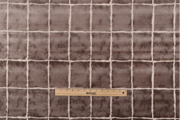 P Kaufmann Avenue Velvet Upholstery Fabric in Sparrow 