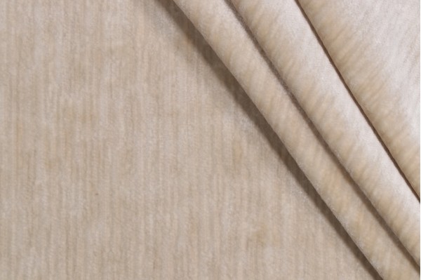 P Kaufmann Dynasty Performance Velvet Upholstery Fabric in Putty 